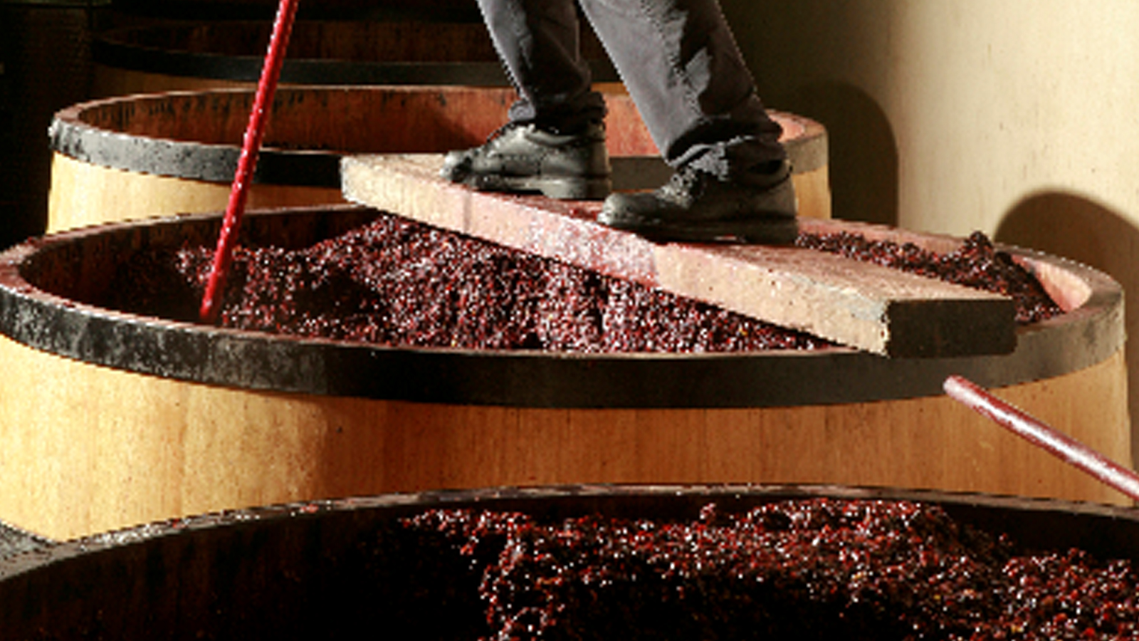 Bouchard Aîné & Fils • Norwegian Beverage Group