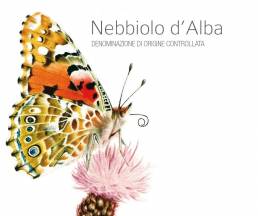 Camparo sommerfugletikett Nebiiolo d'Alba