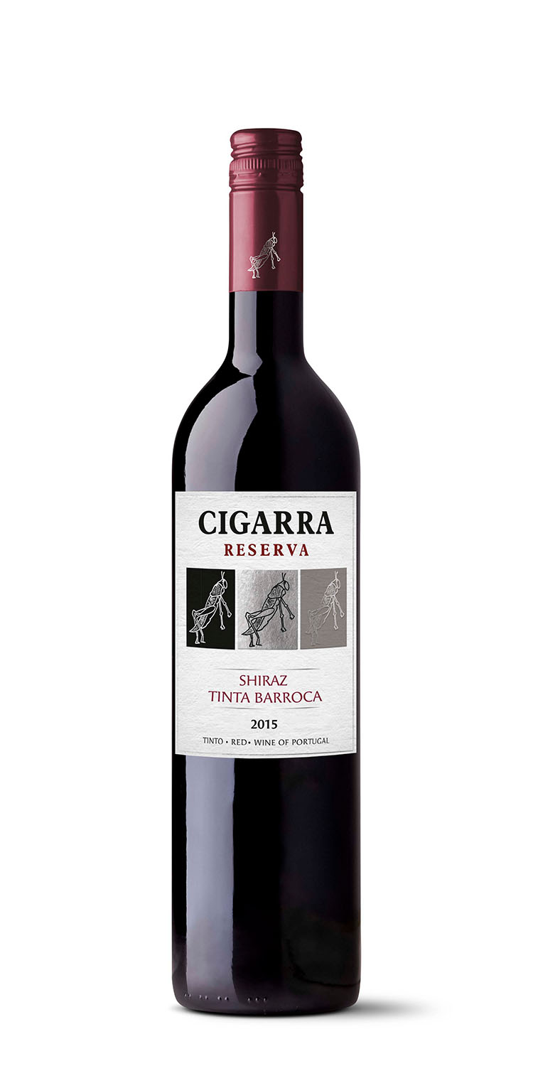 Cigarra, foto
